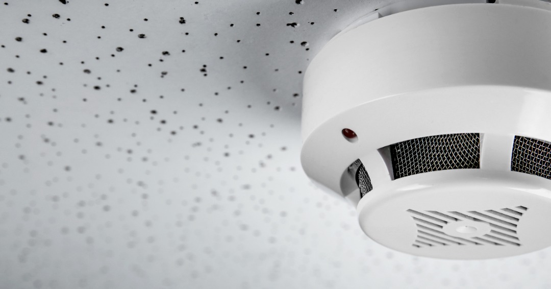 smoke alarm